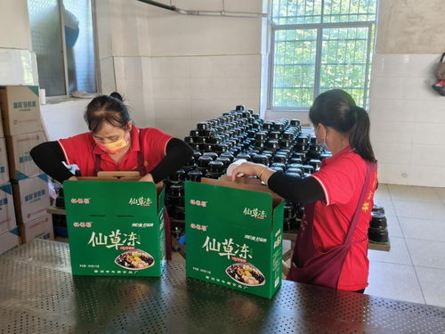 年順食品廠 守護贛南餐桌安全，共筑健康生活新未來