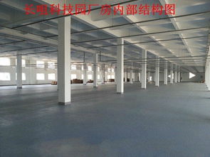 藏龍島長咀科技園 免中介費(fèi)2000平米框架廠房，藝術(shù)品研發(fā)的理想空間